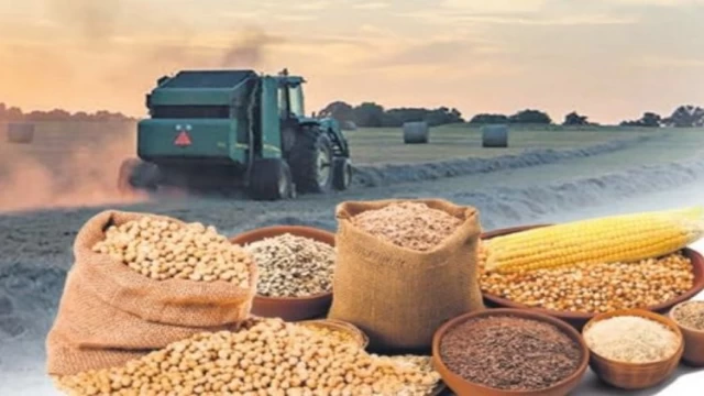 Tarım Ürünleri Fiyat Endeksi’nin Haziran verileri açıklandı