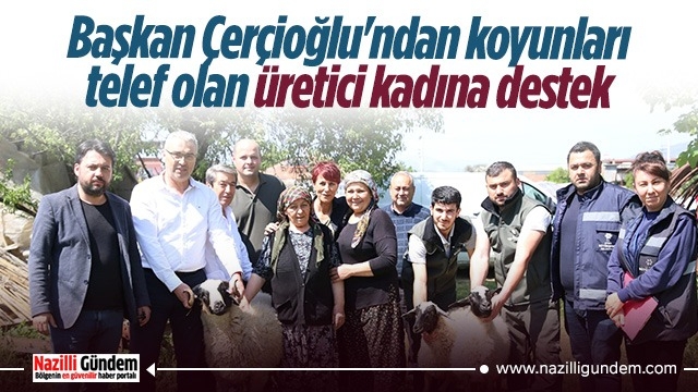 Başkan Çerçioğlu'ndan koyunları telef olan üretici kadına destek