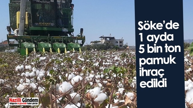 Söke’de 1 ayda 5 bin ton pamuk ihraç edildi